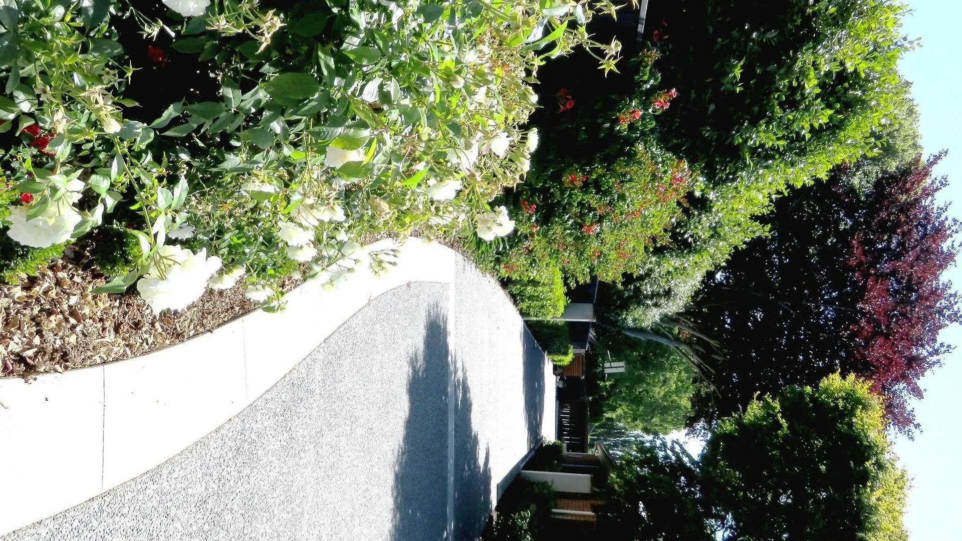 Maples On Harewood Bed & Breakfast Christchurch