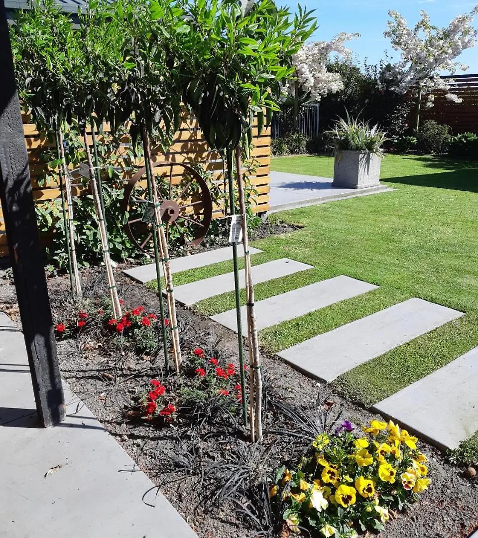 Maples On Harewood Bed & Breakfast Christchurch New Zealand