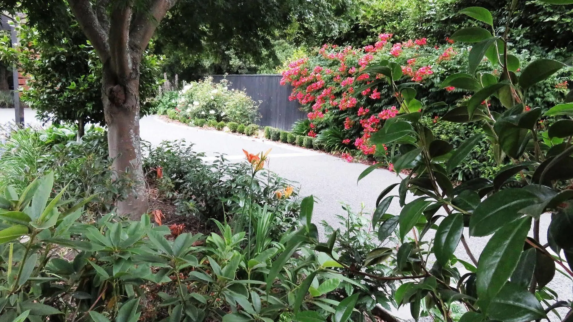 Maples On Harewood Bed & Breakfast Christchurch