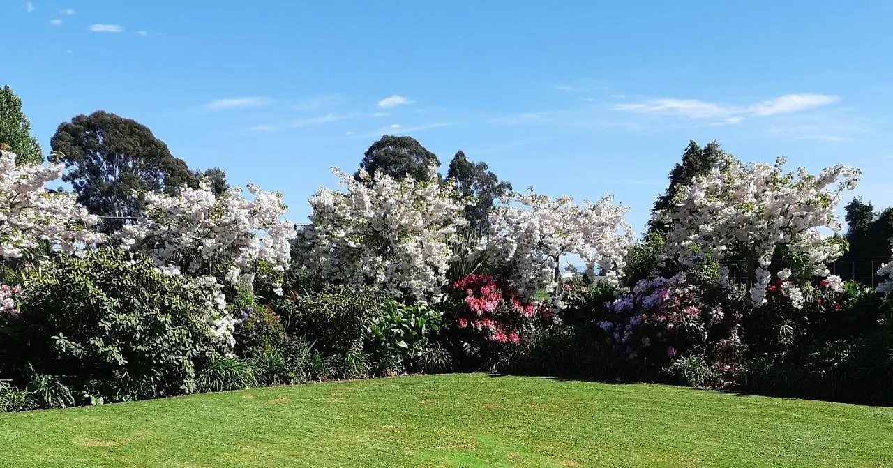 Maples On Harewood Bed & Breakfast Christchurch