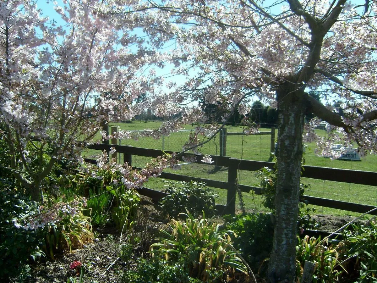 Maples On Harewood Bed & Breakfast Christchurch New Zealand
